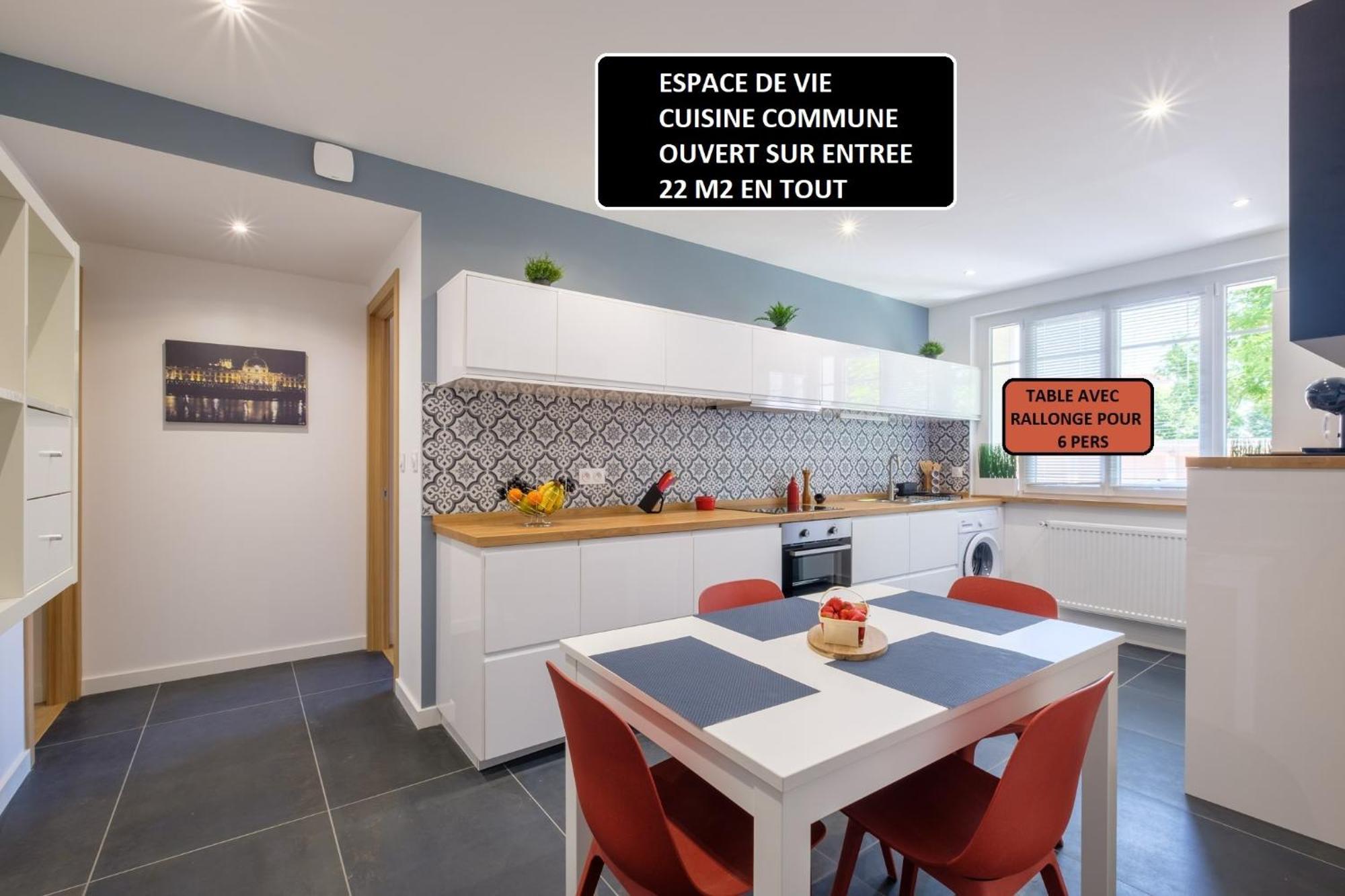 Appart 3 Suites-Chaque Suite Avec Sdo Wc Privatifs - Cuisine Commune Tassin-la-Demi-Lune Exteriör bild